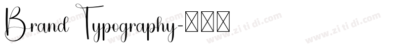 Brand Typography字体转换 Brand Typography字体转换